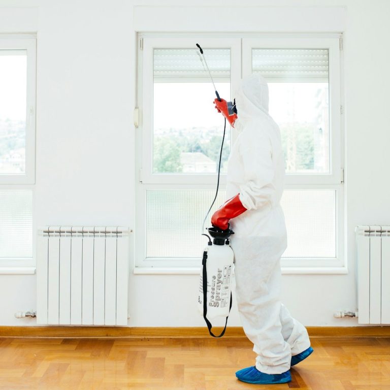 Entreprise de dératisation et désinsectisation à Rouen – SOS Dérat’Insectes Intervention de dératisation et désinsectisation par un professionnel à Rouen (traitement anti-nuisibles).